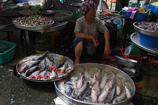 River Fish Consumed in Vietnam Linked to Deadly Cancer: VA Disability Benefits?