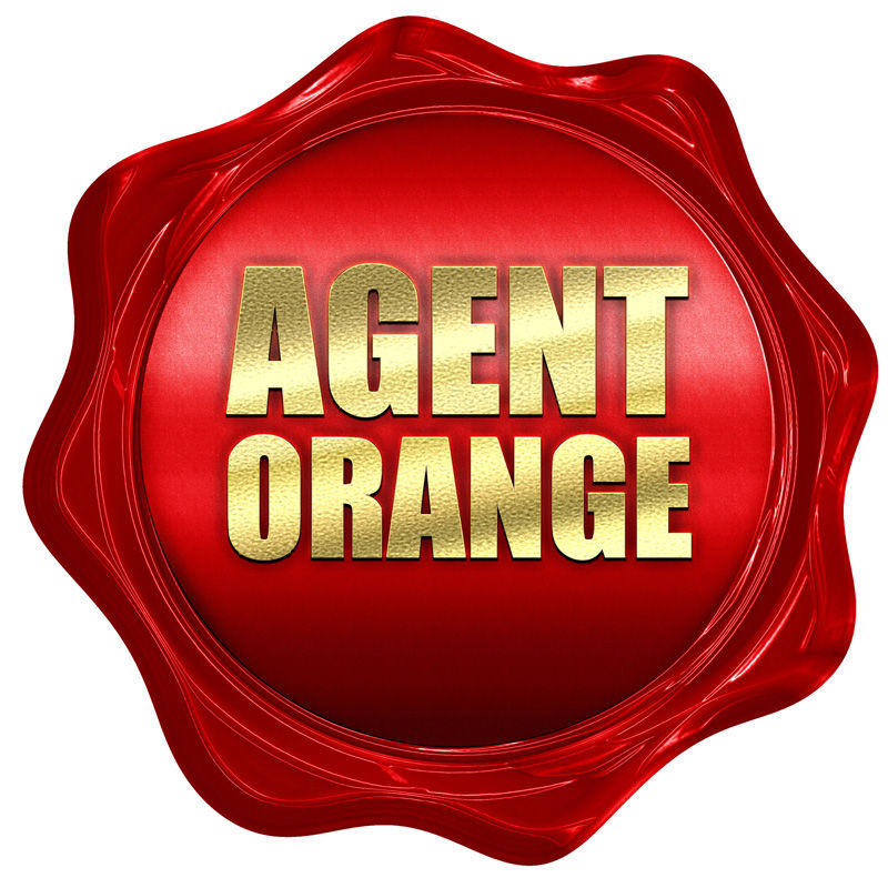 VA Agent Orange Presumptive Diseases List Update