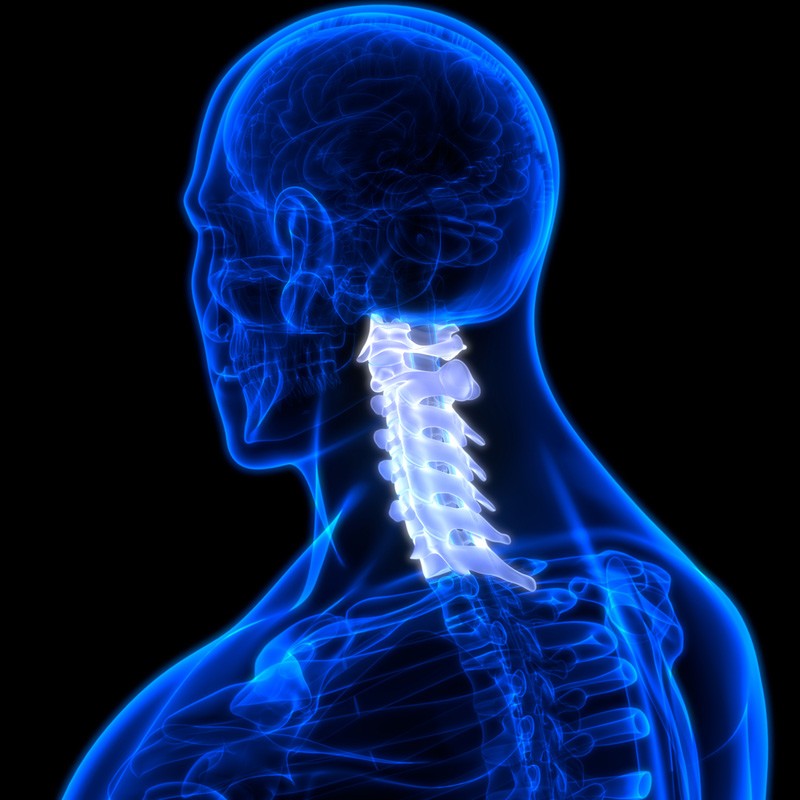 The Neck's Normal Range Of Motion